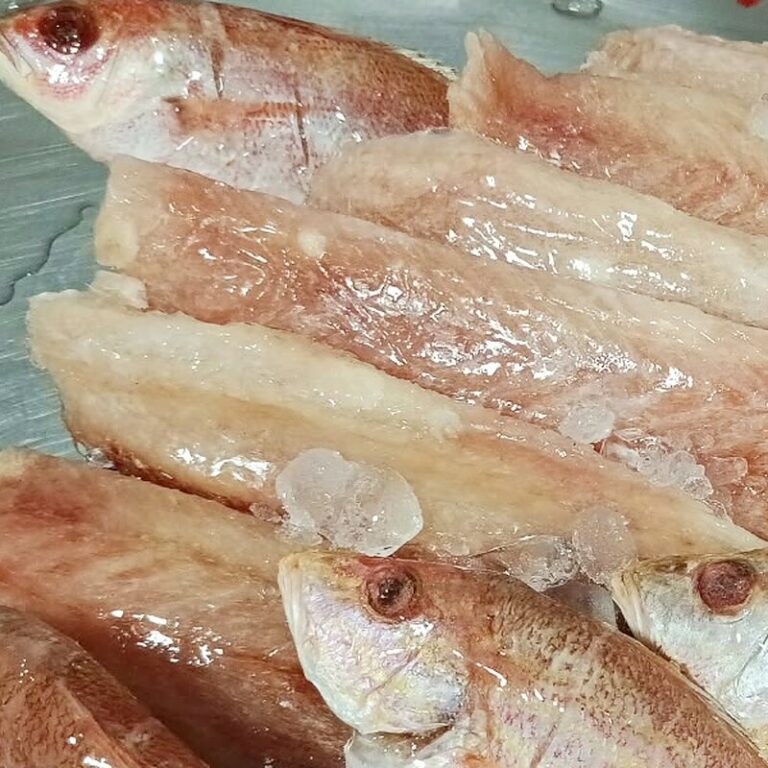 Pargo grande en filete