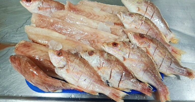 Pargo grande en filete