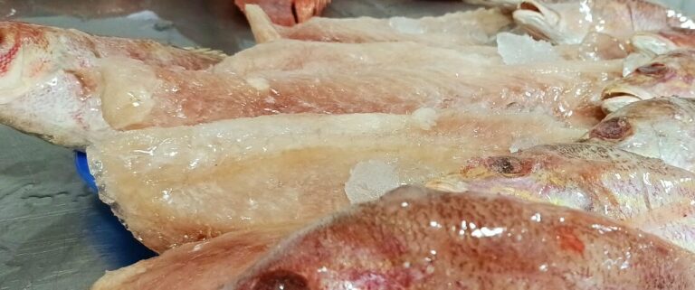 Pargo grande en filete