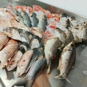 Pescados y mariscos