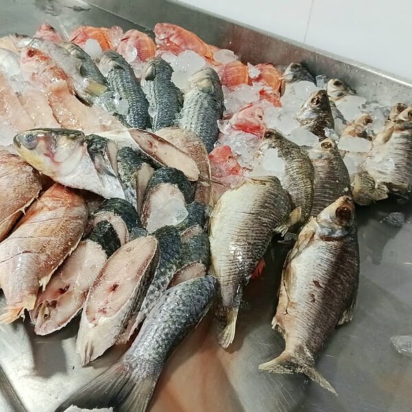 Pescados y mariscos