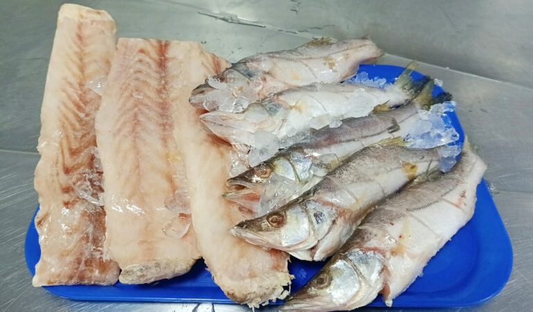 Robalo grande en filete
