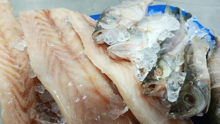 Robalo grande en filete