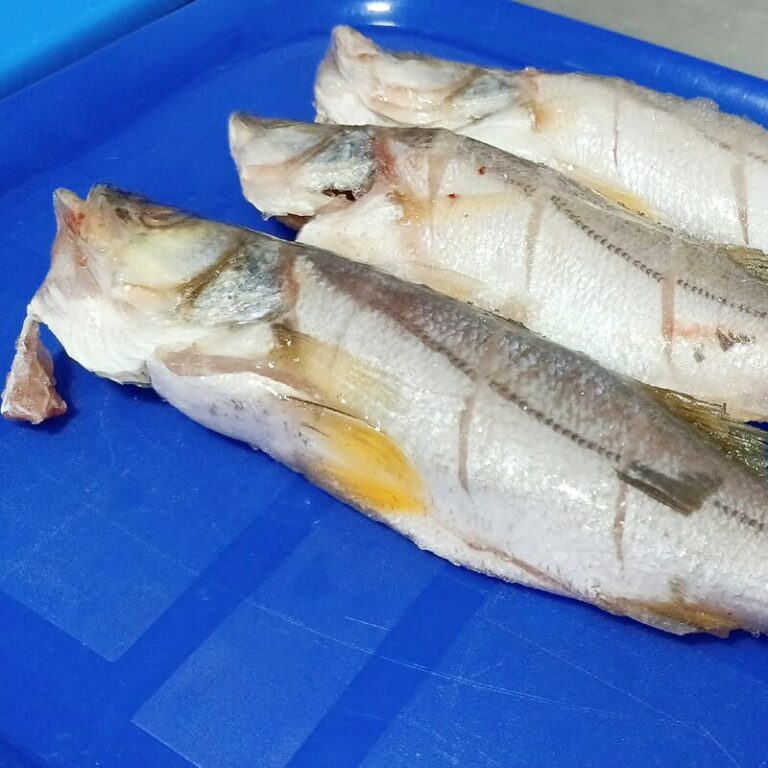 Robalo platero entero