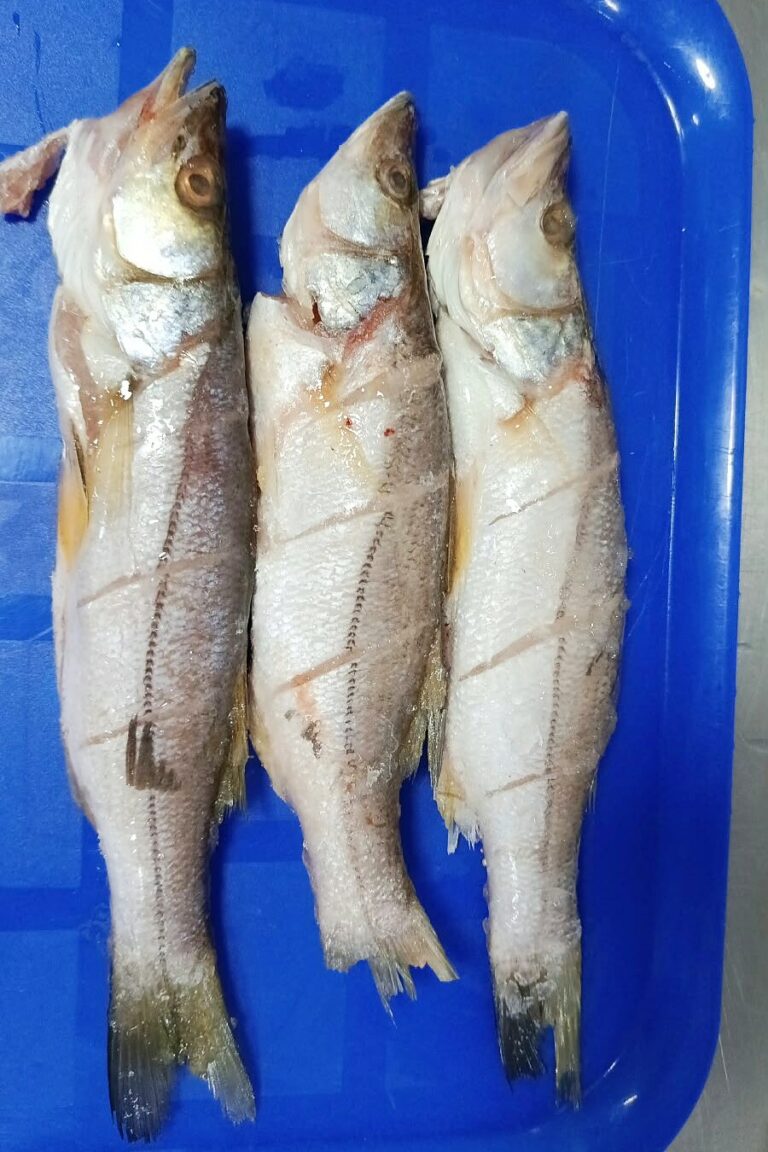 Robalo platero entero